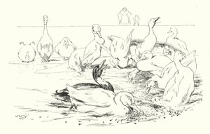 Dame, warum sterben deine Enten von Leonard Leslie Brooke