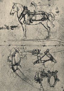 Ein angespanntes Kutschpferd und Studien des Geschirrs, um 1480, 1945 von Leonardo da Vinci