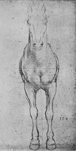 Ein Pferd von vorne gesehen, um 1480
