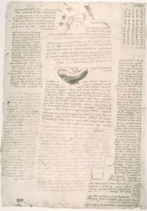 Anatomiestudien
