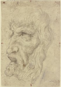 Antike Masken links von Leonardo da Vinci