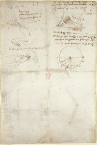 Drei Notizen und Skizzen über Wasser; ein Diagramm über den Vogelflug, ca. 1500-5