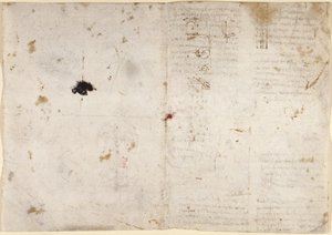 Zeichnungen über mechanische Kräfte, Schwerkraft, Bewegung, Optik und Astronomie, mit verschiedenen arithmetischen und geometrischen Propositionen