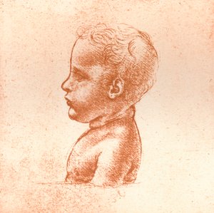 Büste eines Jungen, ca. 1472-1519