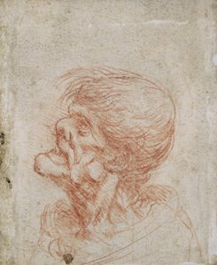 Karikatur Kopfstudie eines alten Mannes, ca. 1500-05