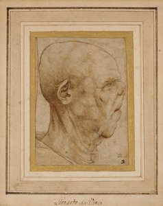 Karikatur des Kopfes eines alten Mannes, im Profil nach rechts, ca. 1507