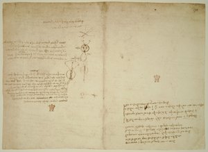 Codex Arundel von Leonardo da Vinci