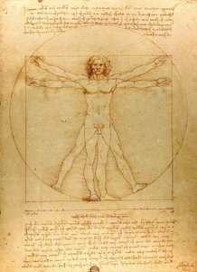 Vitruvianischer Mensch (beschnitten) von Leonardo da Vinci