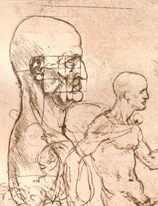 Zeichnung zur Veranschaulichung der Theorie der Proportionen der menschlichen Figur von Leonardo da Vinci