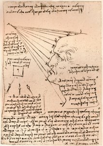 Zeichnung eines männlichen Kopfes, Illustration der Malpraxis, um 1472-1519 von Leonardo da Vinci