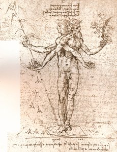 Zeichnung einer allegorischen Komposition, ca. 1472-1519 1883 von Leonardo da Vinci