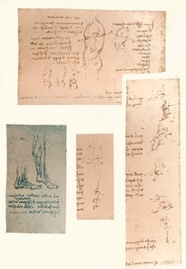 Vier Zeichnungen zur Theorie der Bewegungen der menschlichen Figur