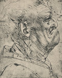 Groteskes Profil eines Mannes nach rechts
