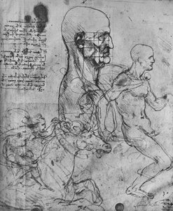 Profil eines Mannes, quadratisch für Proportionen und Studien von Reitern, um 1480, 1945