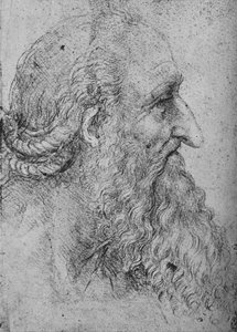 Profil eines alten, bärtigen Mannes nach rechts, ca. 1480, 1945