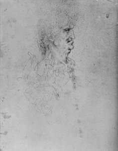 Profil eines alten Mannes nach rechts, ca. 1480