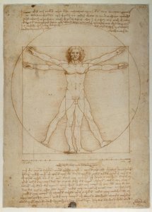 Proportionsschema der menschlichen Gestalt nach Vitruv von Leonardo da Vinci