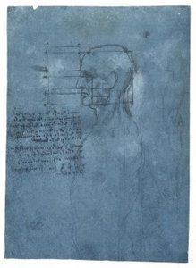 Proportionsstudie eines männlichen Kopfes im Profil von Leonardo da Vinci