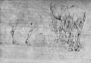 Studien von grasenden Pferden, ca. 1480