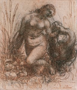 Studie für Leda und der Schwan von Leonardo da Vinci, Zeichnung von Leonardo da Vinci