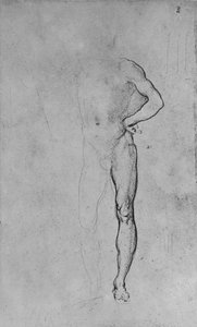 Studie eines nackten Mannes mit der linken Hand auf der Hüfte, ca. 1480