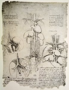 Das Herz und der Kreislauf, Faksimile des Windsor-Buchs von Leonardo da Vinci