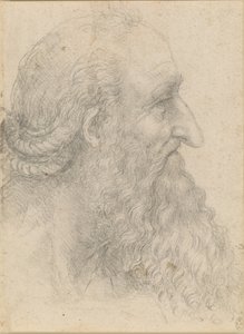Der Kopf eines alten bärtigen Mannes, ca. 1517 von Leonardo da Vinci