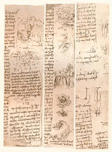 Drei Zeichnungen, um 1472-um 1519, 1883