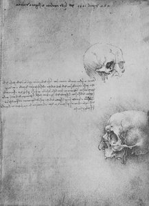 Zwei Zeichnungen der Knochenstruktur des Kopfes, ca. 1480 von Leonardo da Vinci