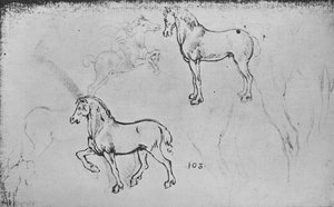 Zwei Studien von Pferden, eine von einem galoppierenden Reiter und andere von Pferdebeinen, ca. 1480, 1945 von Leonardo da Vinci