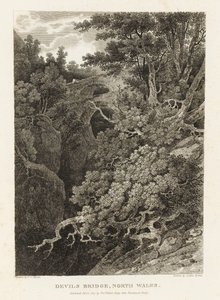 Teufelsbrücke, Nordwales von Letitia Byrne
