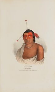 PE-A-JICK; Ein Chippewa-Häuptling, aus The Aboriginal Portfolio