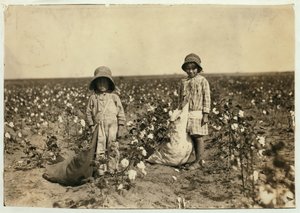Jewel und Harold Walker, 6 und 5 Jahre alt, pflücken 20 bis 25 Pfund Baumwolle pro Tag in Geronimo, Comanche County, Oklahoma, 1916 von Lewis Wickes Hine