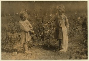 Millie, 4 Jahre alt, pflückt 8 Pfund Baumwolle pro Tag und Nellie 5, pflückt 30 auf einer Farm in der Nähe von Houston, Texas, 1913 von Lewis Wickes Hine