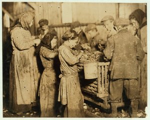 Schucker im Alter von etwa 10 Jahren öffnen Austern in der Varn und Platt Canning Company, Younges Island, South Carolina, 1913