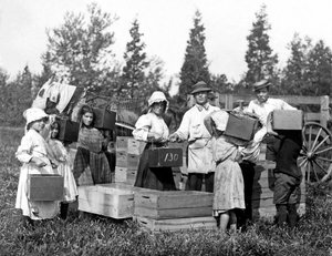 Unbekanntes Bild von Lewis Wickes Hine