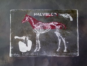 Halbblut-Pferd