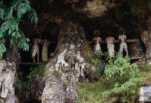 Grabnischen mit Tau Tau Totenfiguren, Dorf Marrante, Tana Toraja, Insel Sulawesi, Indonesien