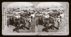 Burenkrieg (Südafrika)