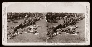 Burenkrieg (Südafrika) von Unbekannt Unbekannt