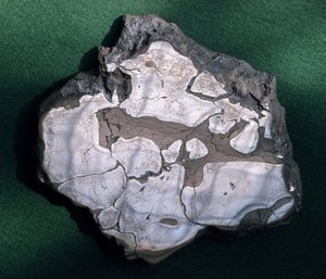 Meteorit, unbekannte Periode - Naturhistorisches Museum, Paris