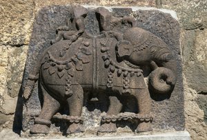 Relief, das einen Elefanten darstellt, Daulatabad (Devagiri) Festung, Maharashtra, Indien von Unbekannt Unbekannt