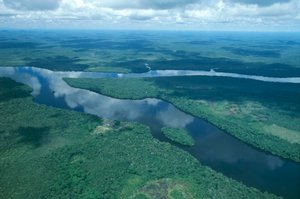 Venezuela, Guayana, Amazonas-Staat, Orinoco-Fluss (Luftaufnahme)