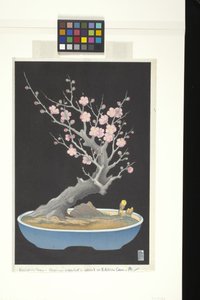 Japanische Zwergpflaume von Lilian May Miller