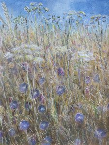 Kornblume 1