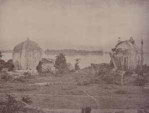 Mengoon: Ruinierte Greifen von Linnaeus Tripe
