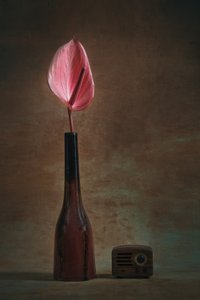 Elegantes Anthurium und Radio von Liu Xing