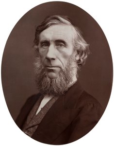 John Tyndall, DCL, LLD, FRS, Professor der Naturphilosophie an der Royal Institution, 1877 von Lock and Whitfield