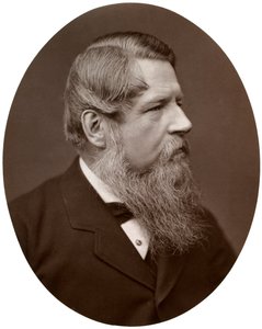 Der ehrenwerte Sir Stafford Henry Northcote, Bart, MP, Schatzkanzler, 1877