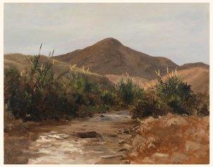 In der Nähe von Jericho, Wady Kilt